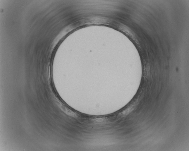 X0000073901130200609082141