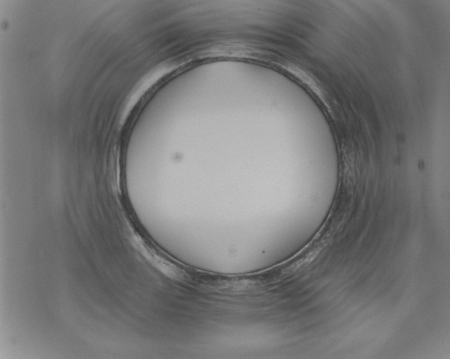 X0000073901131200609082141