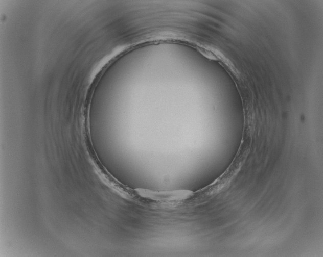 X0000073901134200609082141