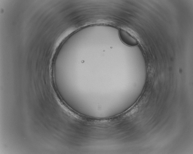 X0000073901135200609082141