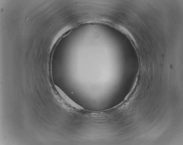 X0000073901138200609082141