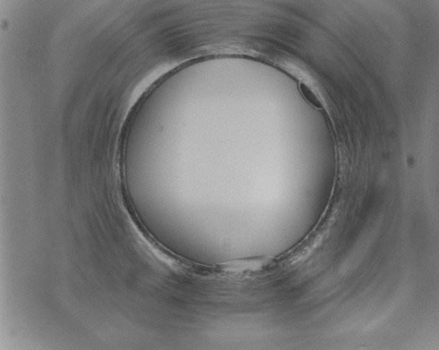 X0000073901141200609082141