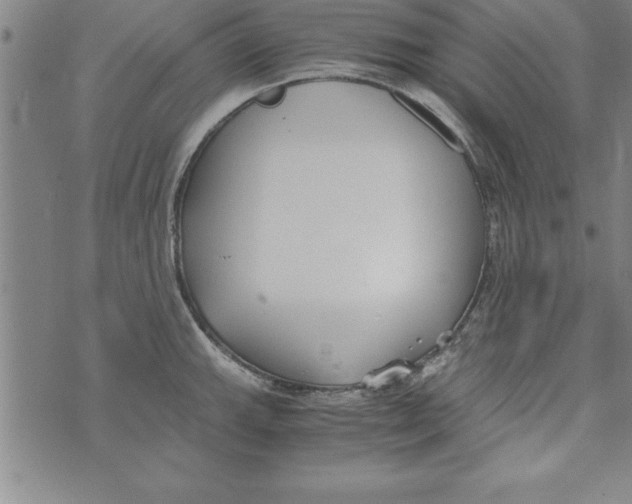 X0000073901143200609082141