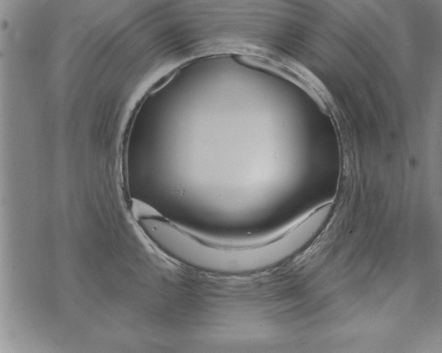 X0000073901144200609082141