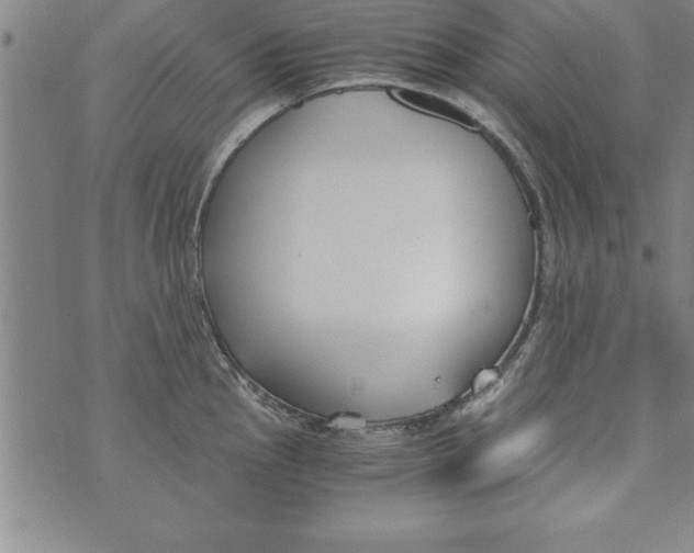 X0000073901145200609082141