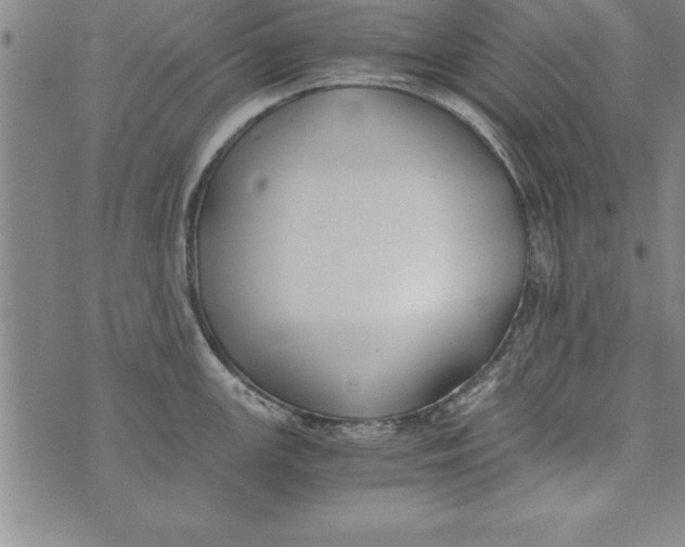 X0000073901147200609082141