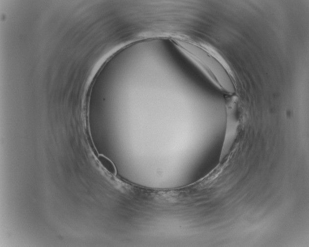 X0000073901148200609082141