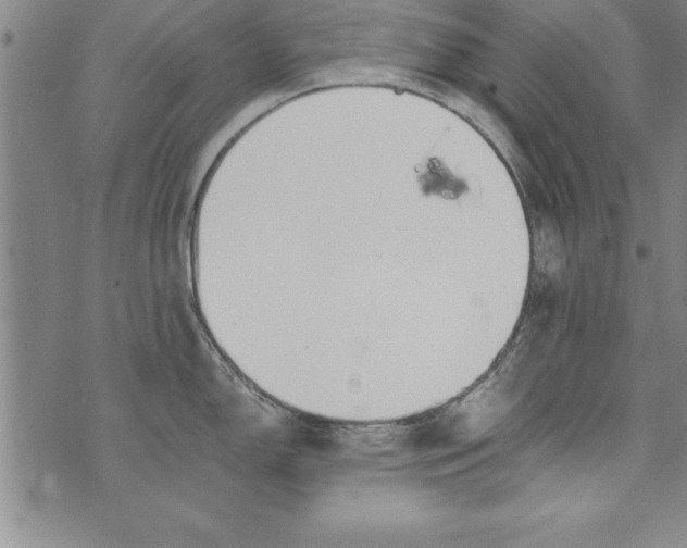 X0000073901150200609082141