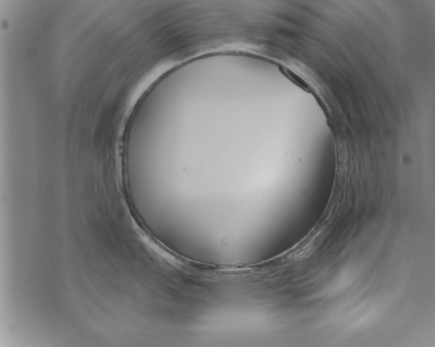 X0000073901151200609082141