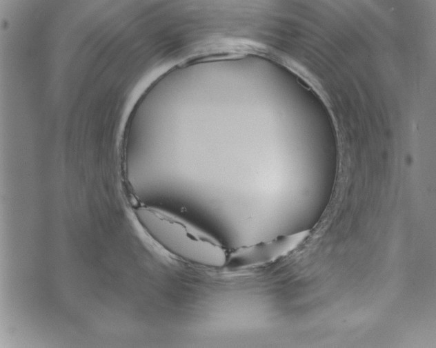 X0000073901152200609082141