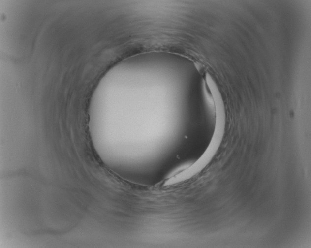 X0000073901153200609082141