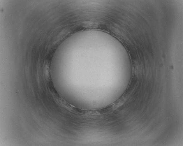 X0000073901154200609082141