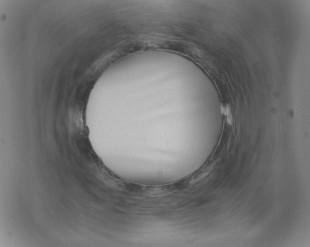 X0000073901155200609082141