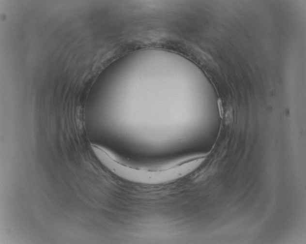 X0000073901156200609082141