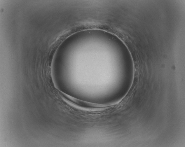 X0000073901157200609082141