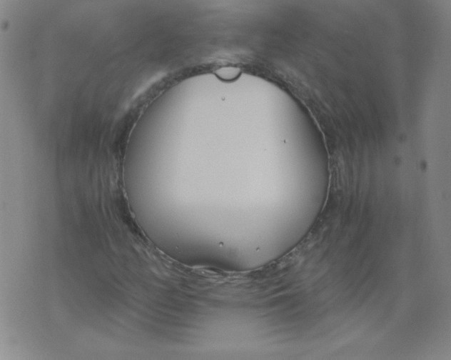 X0000073901158200609082140