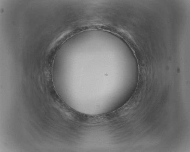 X0000073901159200609082140