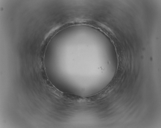 X0000073901160200609082140