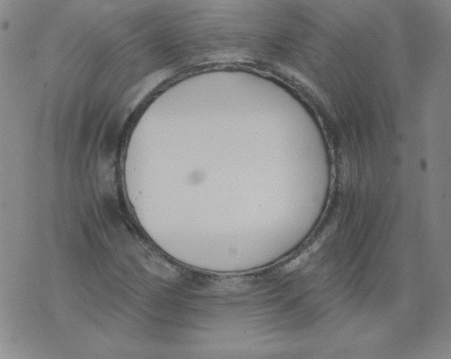 X0000073901162200609082140