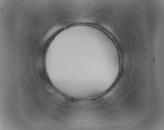 X0000073901163200609082140