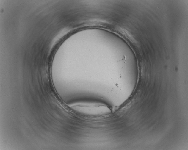 X0000073901164200609082140