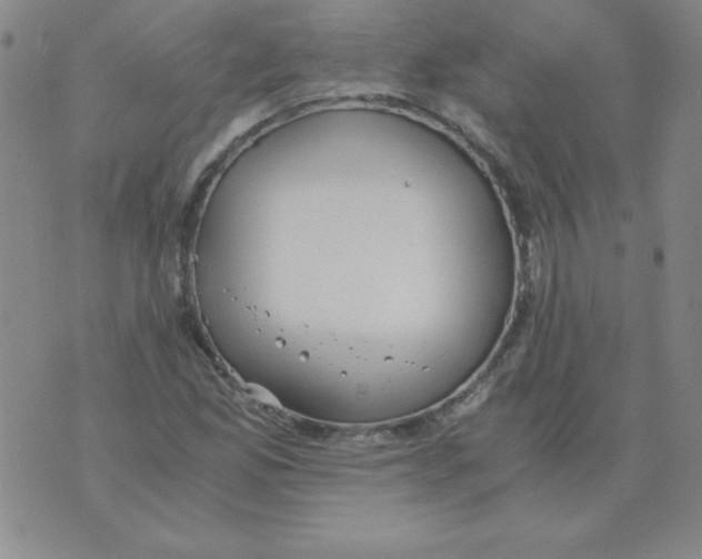 X0000073901165200609082140