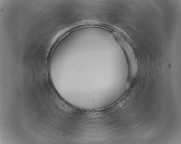 X0000073901168200609082140