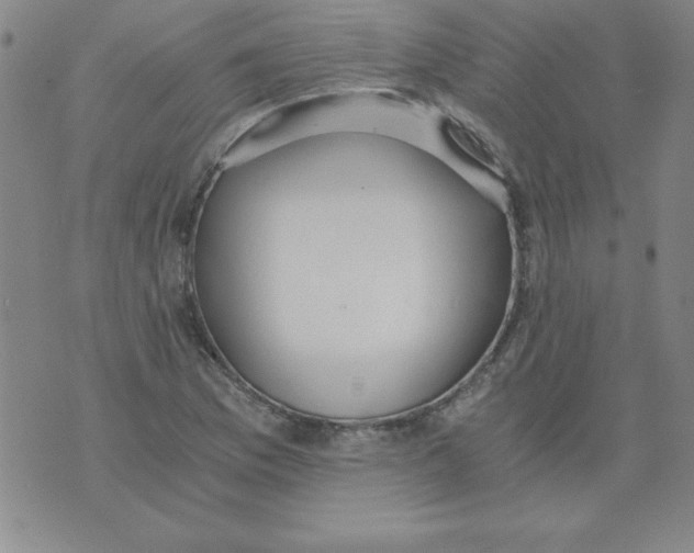 X0000073901169200609082140