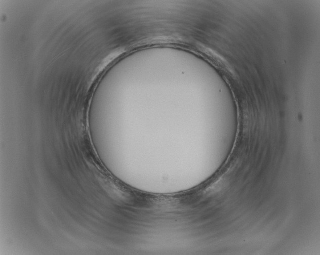 X0000073901170200609082140