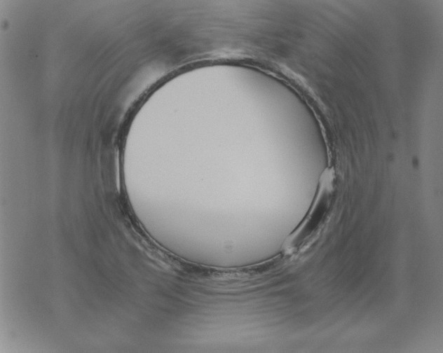 X0000073901171200609082140