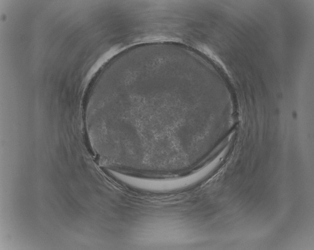 X0000073901173200609082140