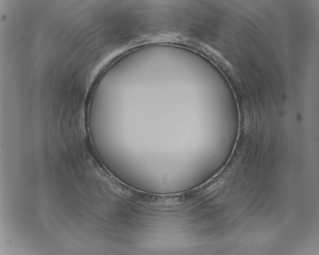 X0000073901174200609082140