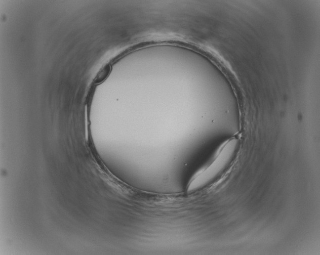 X0000073901175200609082140