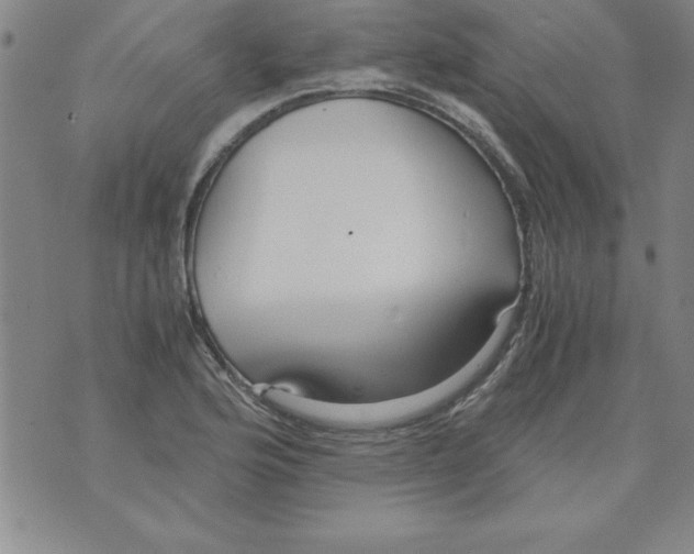 X0000073901176200609082140