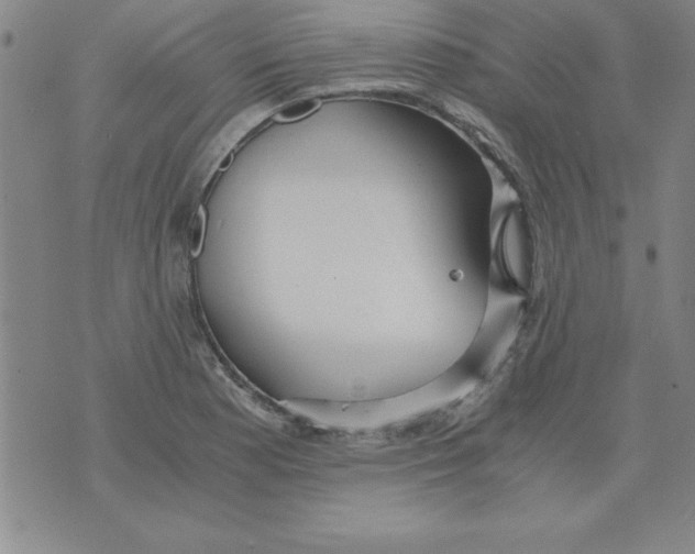 X0000073901177200609082140