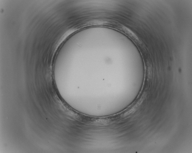 X0000073901178200609082140