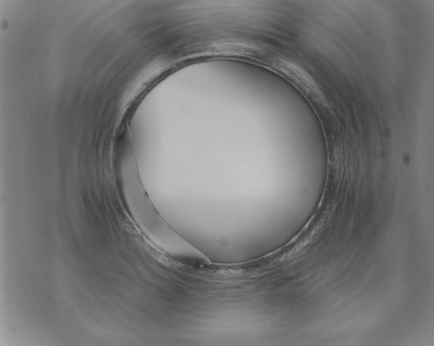 X0000073901180200609082140