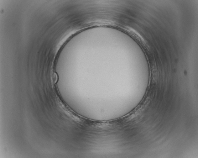 X0000073901182200609082140