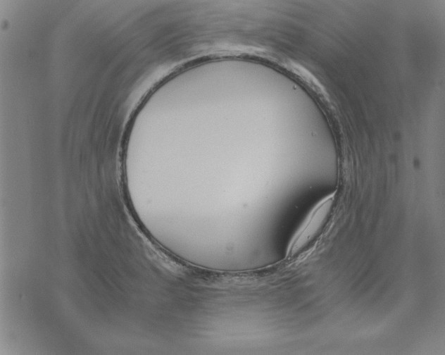 X0000073901183200609082140