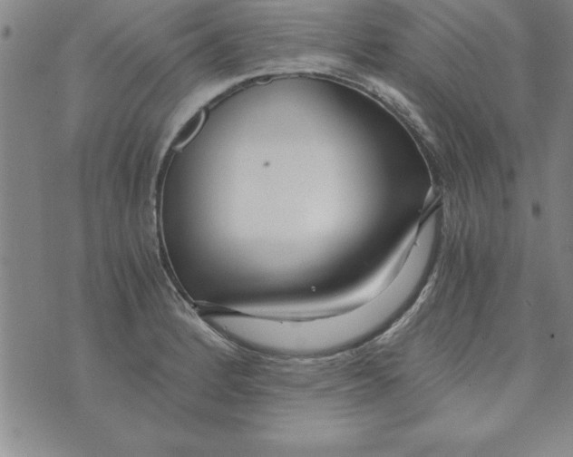 X0000073901184200609082140