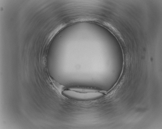 X0000073901185200609082140