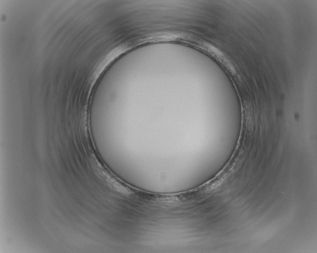 X0000073901186200609082140