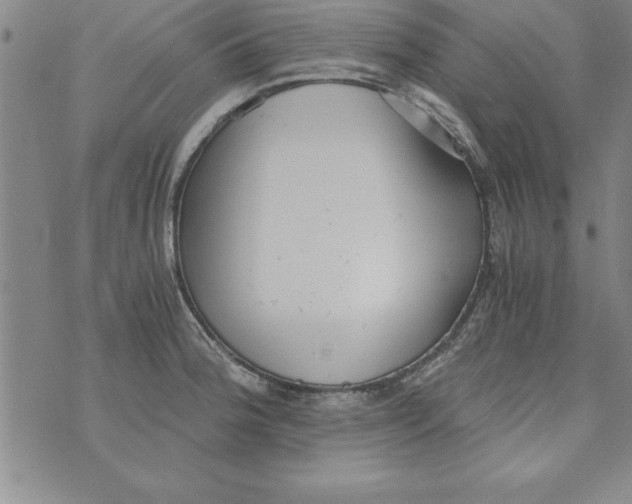 X0000073901188200609082140