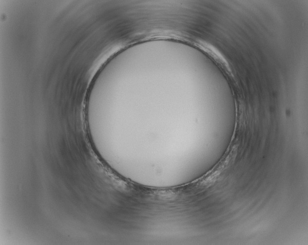 X0000073901190200609082140