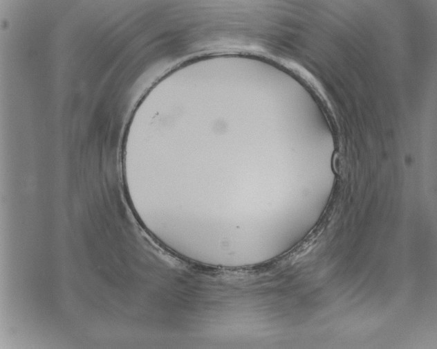 X0000073901191200609082140