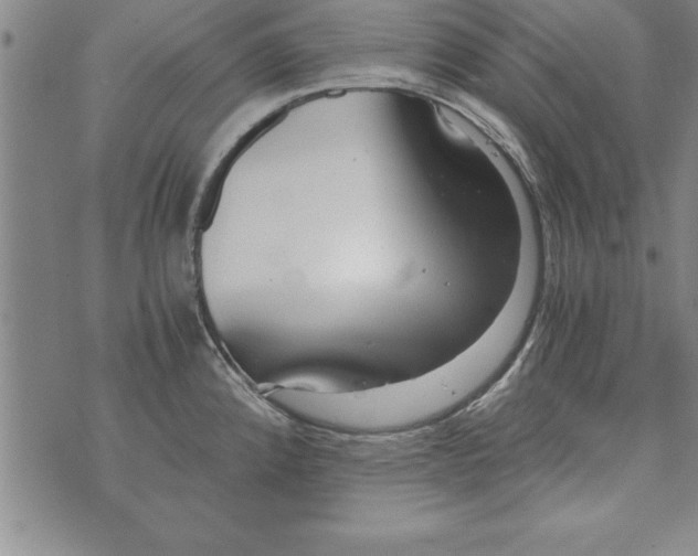 X0000073901192200609082140