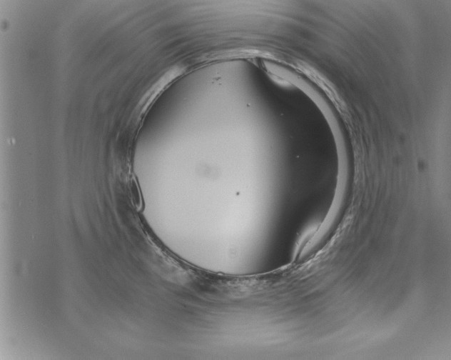 X0000073901193200609082140