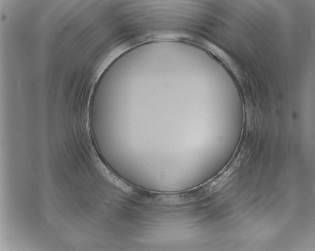 X0000073901194200609082140