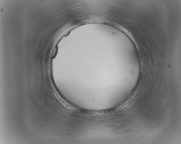 X0000073901195200609082140