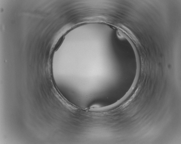 X0000073901196200609082140